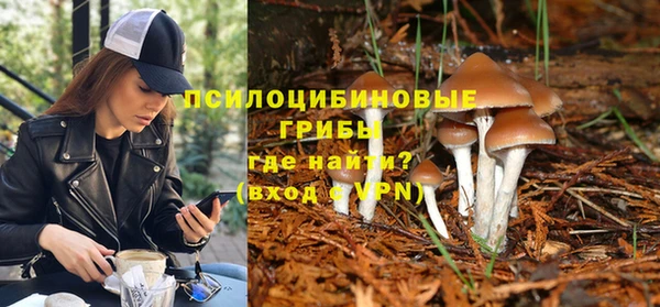 стаф Алексин