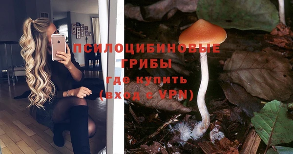 скорость Абаза