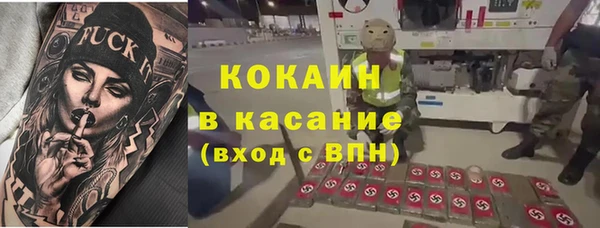 стаф Алексин