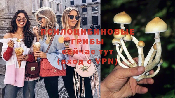 скорость Абаза