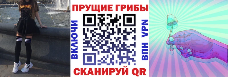 дарк нет наркотические препараты  Отрадное  Галлюциногенные грибы Psilocybe 