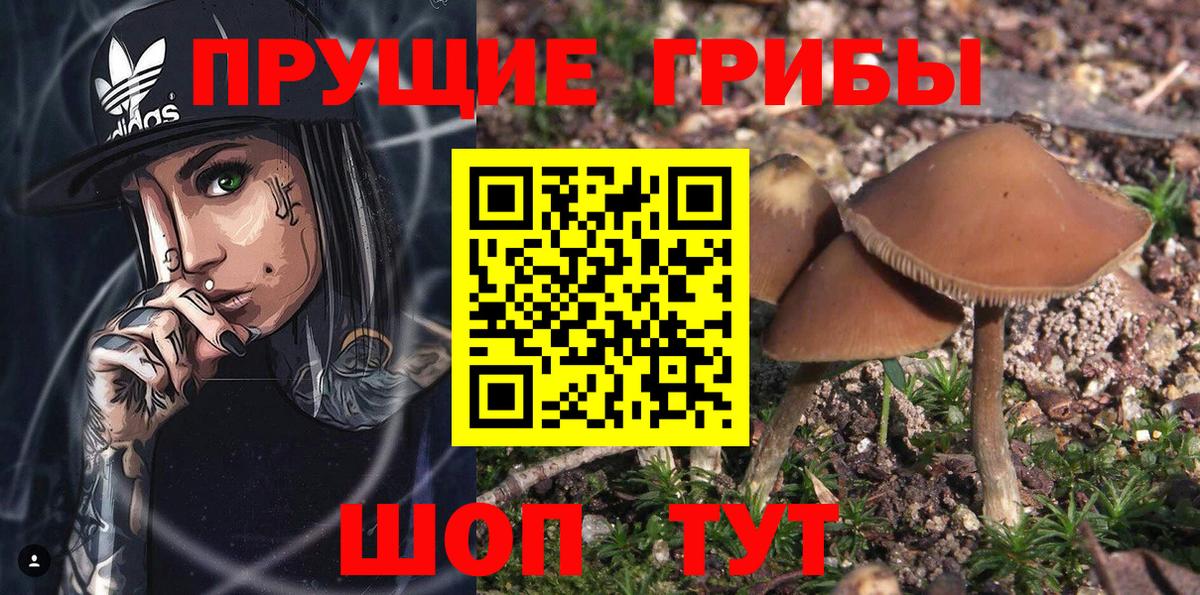 Псилоцибиновые грибы мухоморы  Вход с VPN  Отрадное 