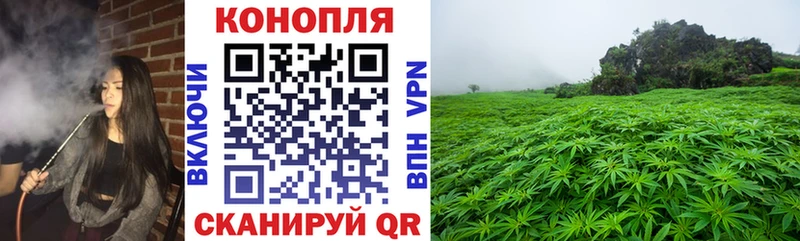 Каннабис White Widow  как найти наркотики  Отрадное 